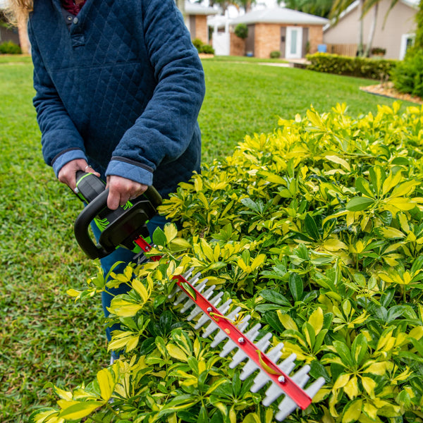 Corta Setos Greenworks Inalámbrico Eléctrico 24v 22 Pulgadas